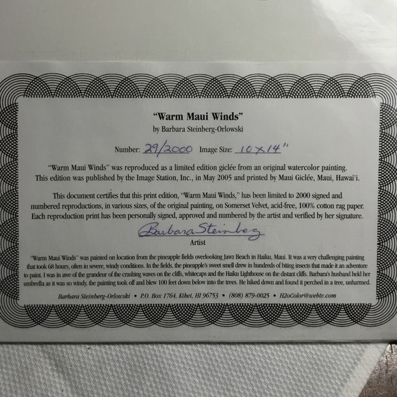 Warm Maui Winds~10x14 inch Limited Edition Giclee from Barbara Steinberg~2005 - Picture 3 of 5